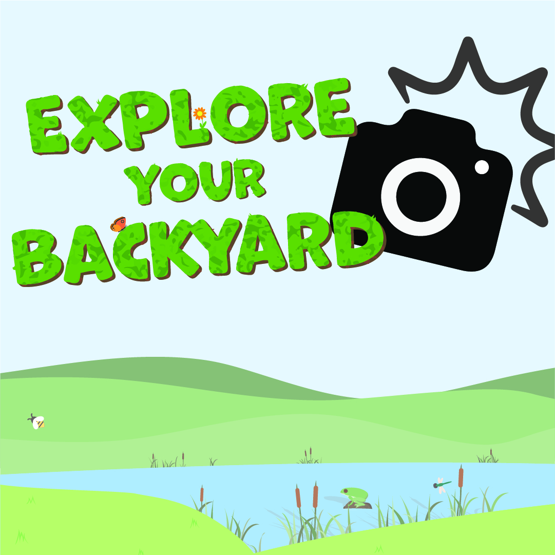 Explore your Backyard Photo Comp