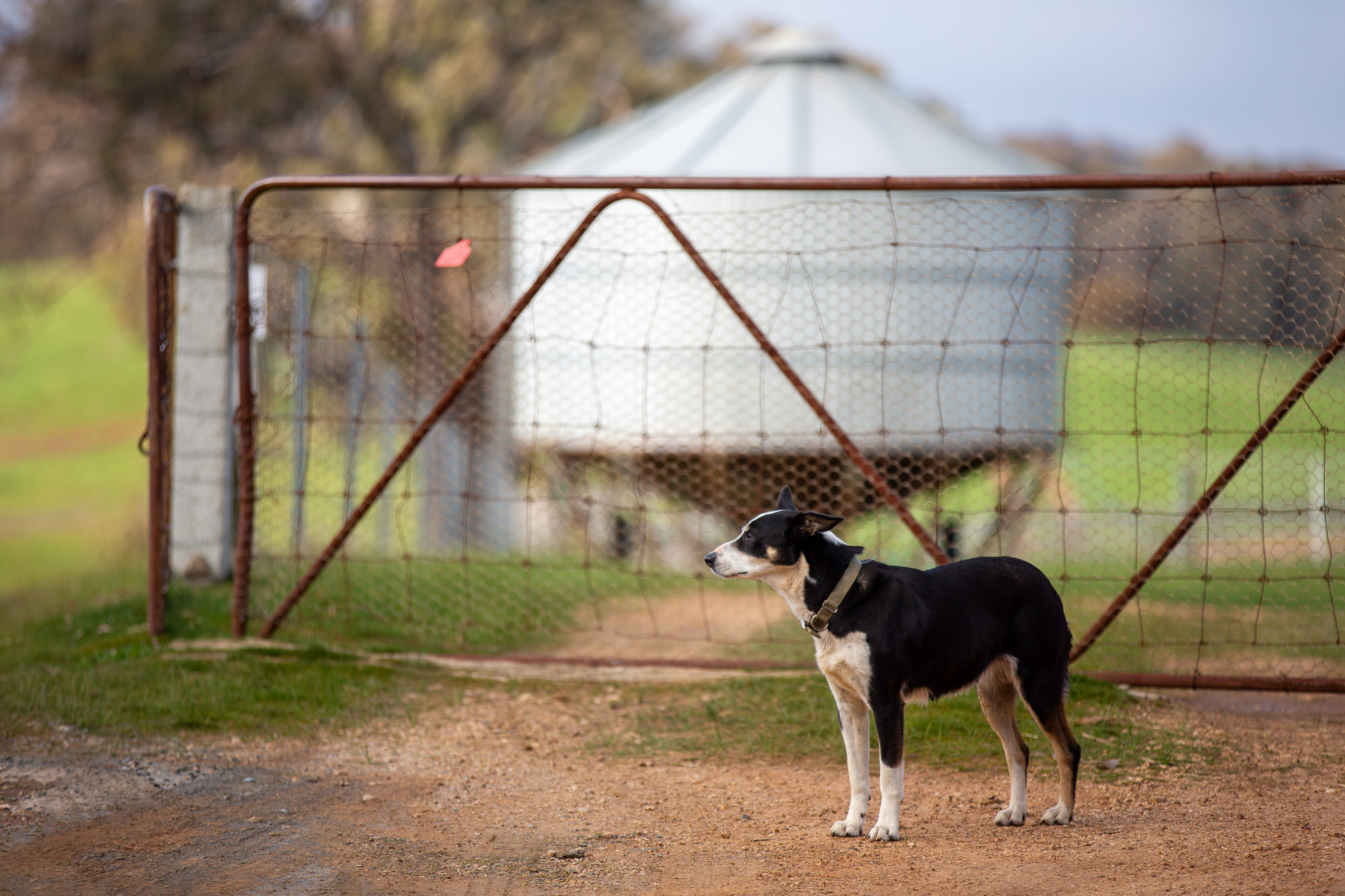 Help shape the future of water in western Victoria