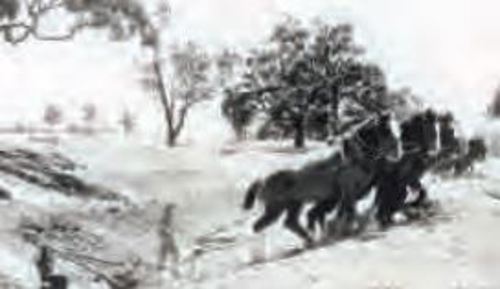 WimmeraMalleeChannelConstructionWithHorses.jpeg