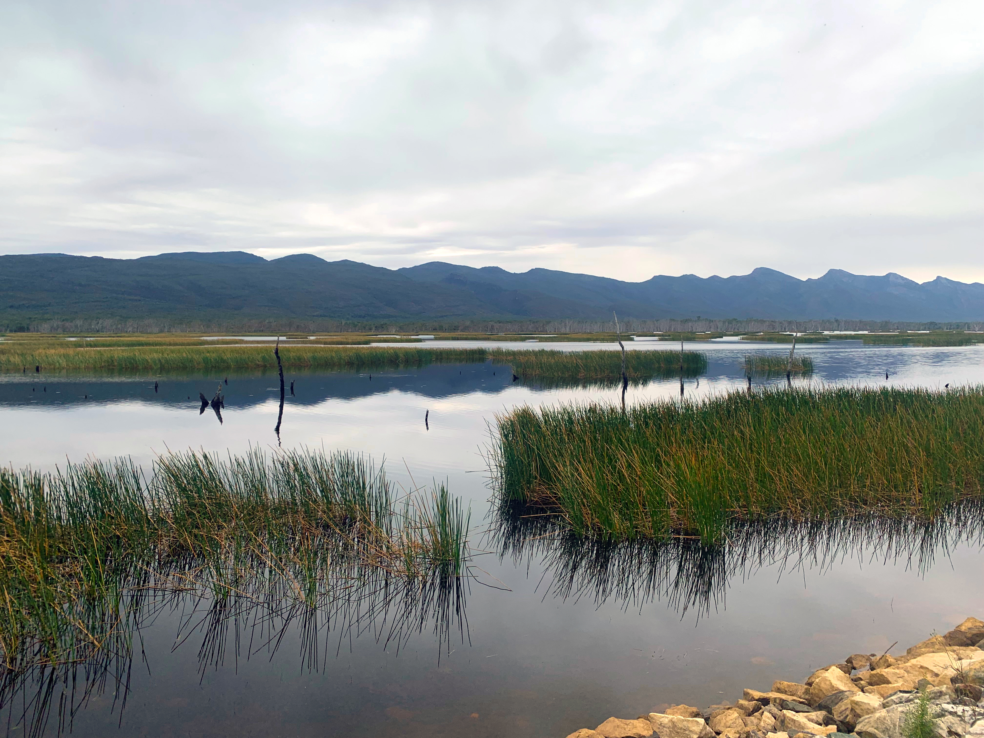 2023/24 Recycled Water Reports